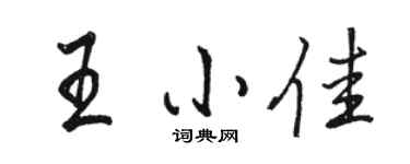 骆恒光王小佳行书个性签名怎么写