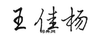 骆恒光王佳杨行书个性签名怎么写