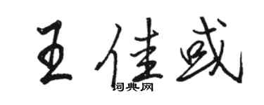 骆恒光王佳或行书个性签名怎么写