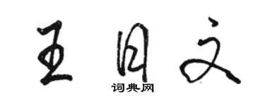 骆恒光王日文行书个性签名怎么写