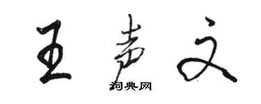 骆恒光王声文行书个性签名怎么写