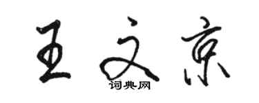 骆恒光王文京行书个性签名怎么写