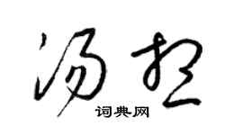 梁锦英汤想草书个性签名怎么写