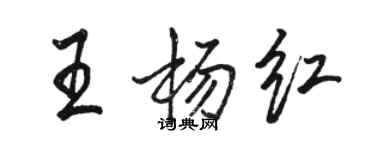 骆恒光王杨红行书个性签名怎么写