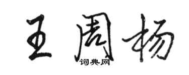 骆恒光王周杨行书个性签名怎么写