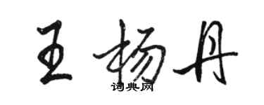 骆恒光王杨丹行书个性签名怎么写