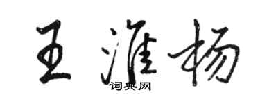 骆恒光王淮杨行书个性签名怎么写