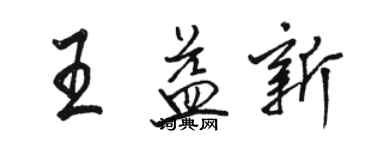 骆恒光王益新行书个性签名怎么写