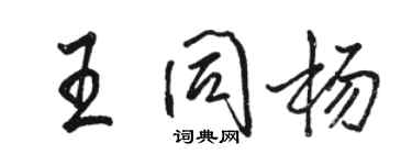 骆恒光王同杨行书个性签名怎么写