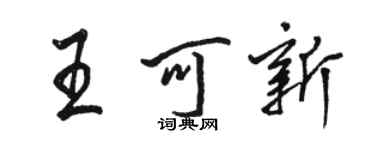 骆恒光王可新行书个性签名怎么写