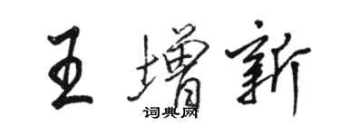 骆恒光王增新行书个性签名怎么写