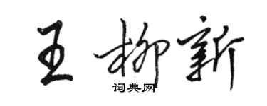 骆恒光王柳新行书个性签名怎么写