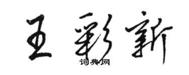 骆恒光王彩新行书个性签名怎么写
