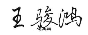 骆恒光王骏鸿行书个性签名怎么写