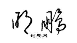 梁锦英明鹏草书个性签名怎么写