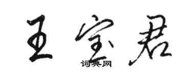 骆恒光王宝君行书个性签名怎么写