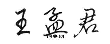 骆恒光王孟君行书个性签名怎么写