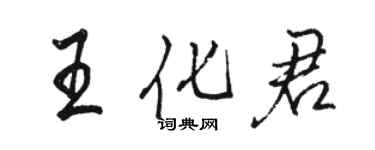 骆恒光王化君行书个性签名怎么写