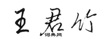 骆恒光王君竹行书个性签名怎么写