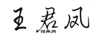 骆恒光王君凤行书个性签名怎么写