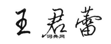 骆恒光王君蕾行书个性签名怎么写