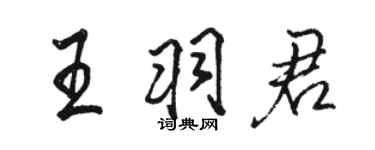骆恒光王羽君行书个性签名怎么写