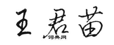 骆恒光王君苗行书个性签名怎么写