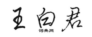 骆恒光王白君行书个性签名怎么写