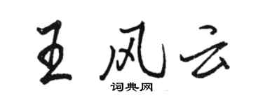 骆恒光王风云行书个性签名怎么写