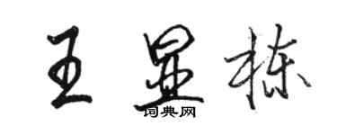 骆恒光王显栋行书个性签名怎么写