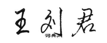 骆恒光王刘君行书个性签名怎么写