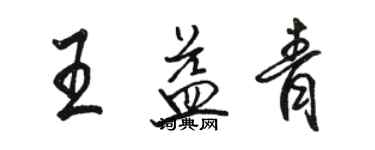 骆恒光王益青行书个性签名怎么写