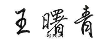 骆恒光王曙青行书个性签名怎么写