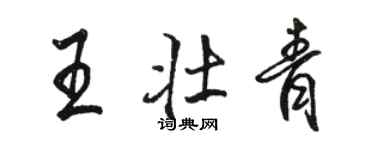 骆恒光王壮青行书个性签名怎么写