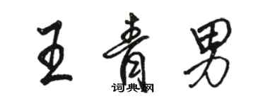 骆恒光王青男行书个性签名怎么写