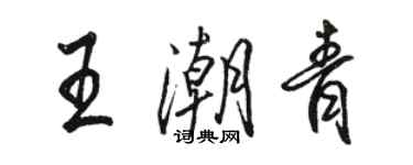 骆恒光王潮青行书个性签名怎么写