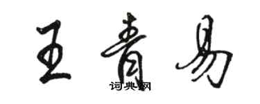骆恒光王青易行书个性签名怎么写