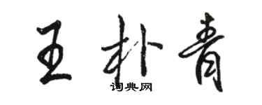 骆恒光王朴青行书个性签名怎么写