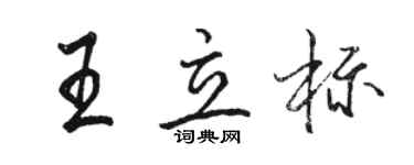 骆恒光王立标行书个性签名怎么写