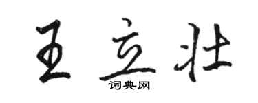 骆恒光王立壮行书个性签名怎么写