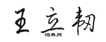 骆恒光王立韧行书个性签名怎么写