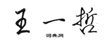 骆恒光王一哲行书个性签名怎么写