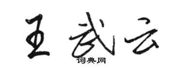 骆恒光王武云行书个性签名怎么写