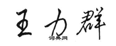 骆恒光王力群行书个性签名怎么写