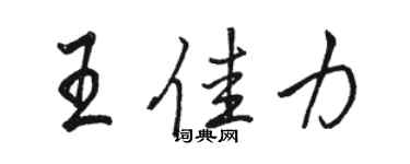 骆恒光王佳力行书个性签名怎么写