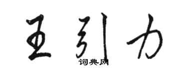 骆恒光王引力行书个性签名怎么写