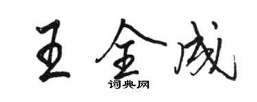 骆恒光王全成行书个性签名怎么写