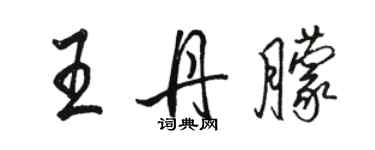 骆恒光王丹朦行书个性签名怎么写