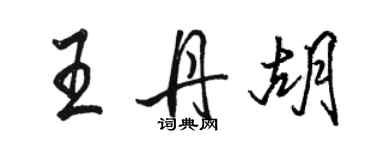 骆恒光王丹胡行书个性签名怎么写