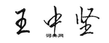 骆恒光王中坚行书个性签名怎么写